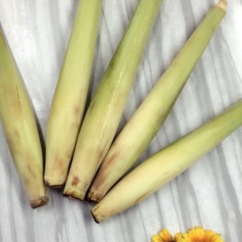 Image Sugar Cane Flowers 善缘 - 甘蔗花 1000grams out of stock