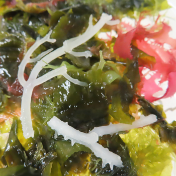 Image Nihon Shokken Mix Seaweed 日本食研海澡 100grams
