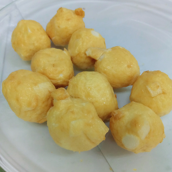Image Vegefarm Vege Fried Squid Ball 松珍-花枝杨 454grams