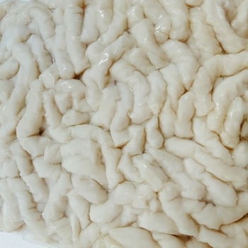 Image Veg Squid 全家福 - 白不辣 (墨鱼卷) 900grams